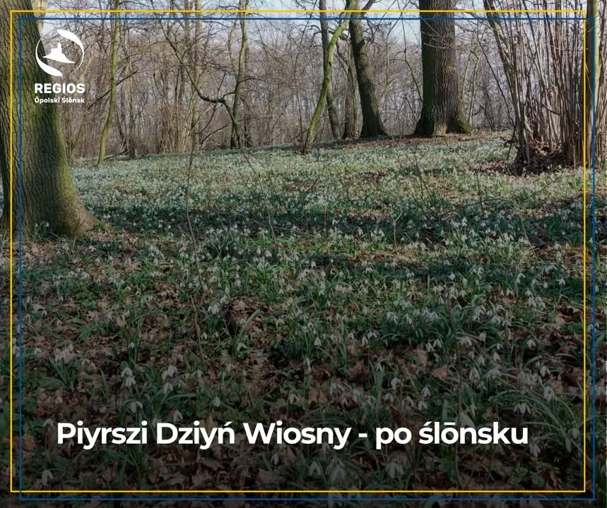 Regios Ślōnsk Ôpolski