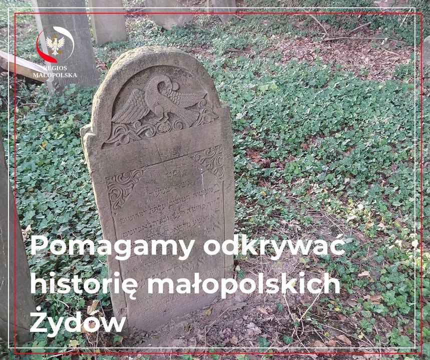 Regios Małopolska