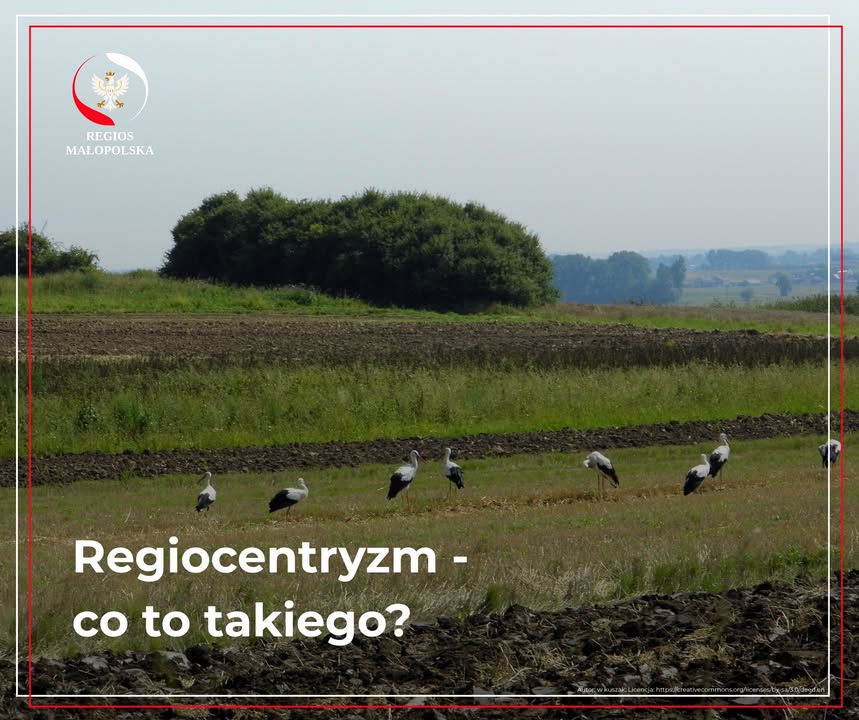 Regios Małopolska